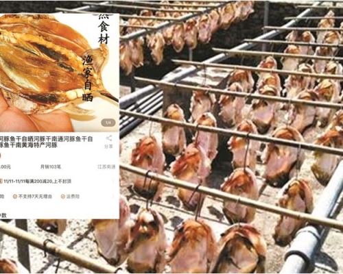 内地興起網售河豚乾。網上圖片