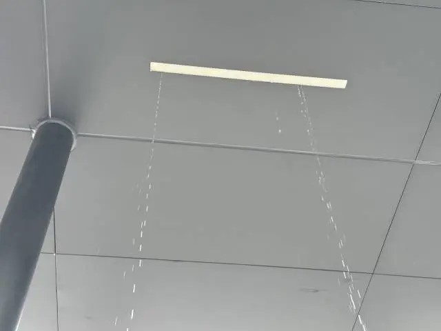 雨棚部份出現漏水情況。南方+
