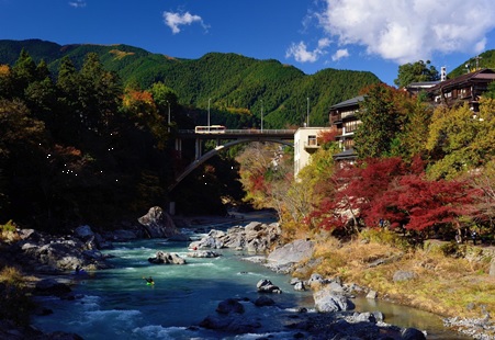 青梅市驚現熊出沒。青梅市官方旅遊網站 青梅市驚現熊出沒。青梅市官方旅遊網站