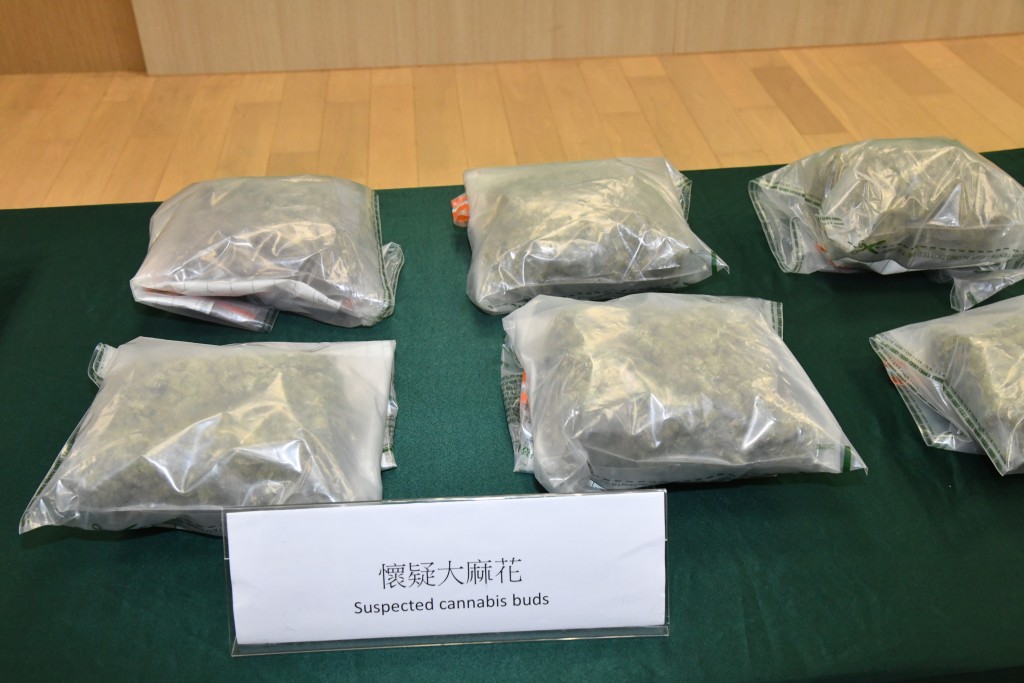 涉案大麻。徐裕民攝 涉案大麻。徐裕民攝