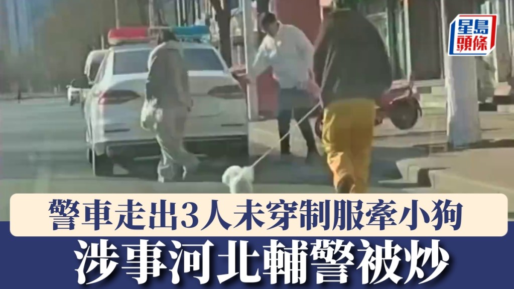 河北輔警駕警車載妻母帶寵物狗購物，影片在網上瘋傳。 網片截圖
