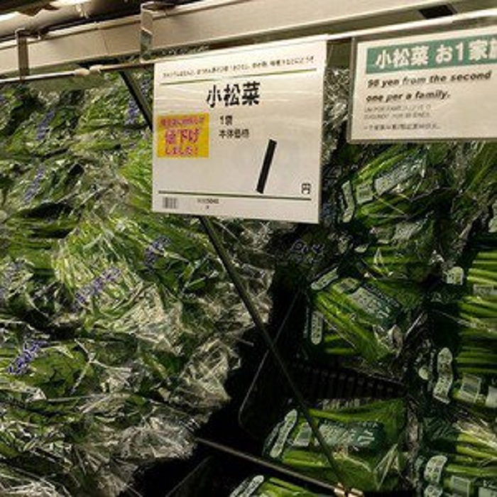 网上图片