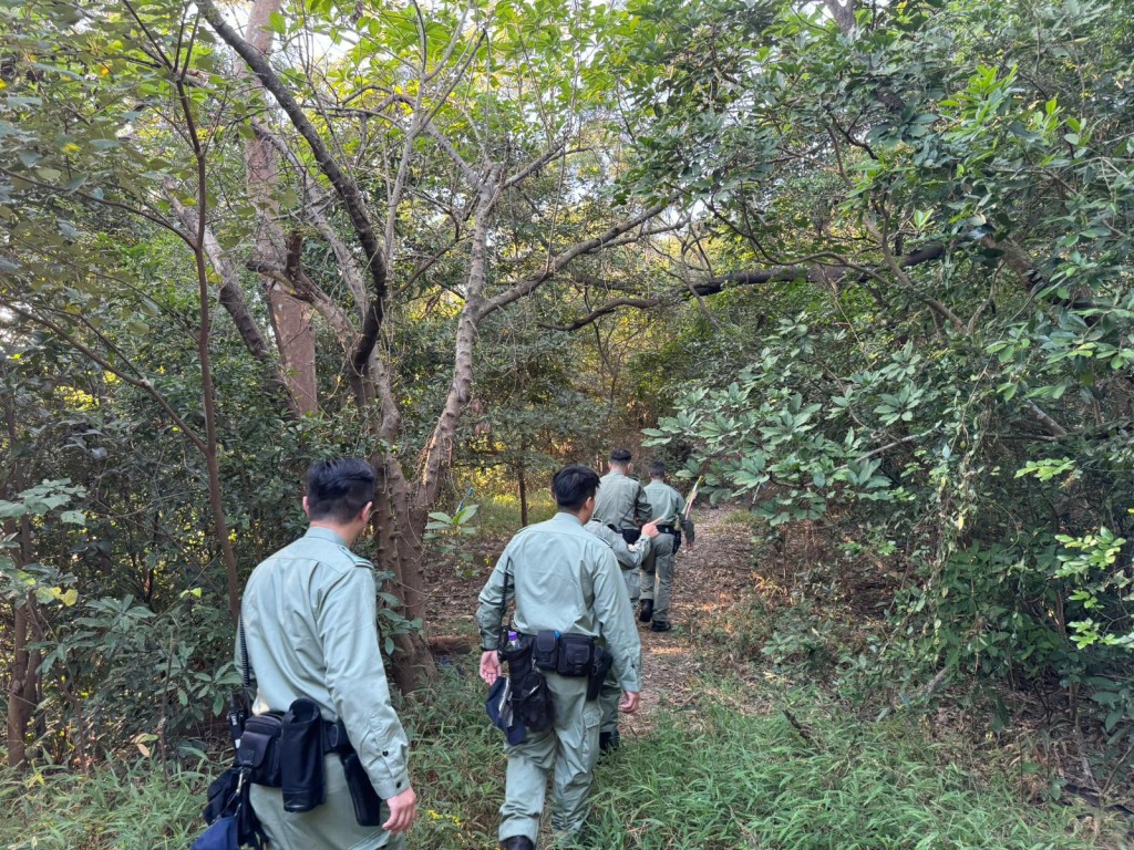 警方派員巡查山坡叢林。警方圖片