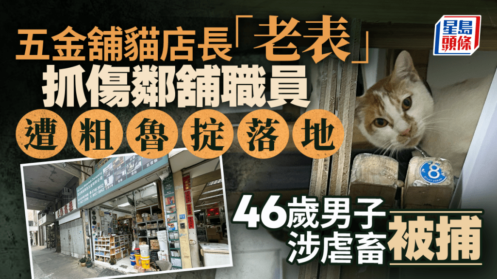 油麻地貓店長疑抓傷人 遭舉起粗魯掟落地 鄰舖職員疑虐畜被捕