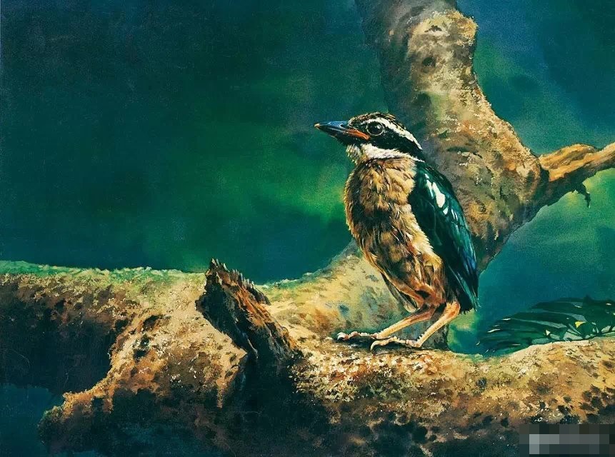 内地画家刘筱青作品。