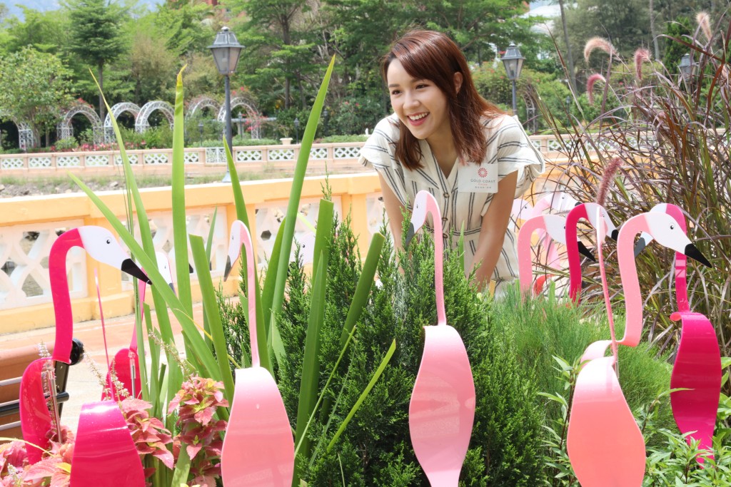 逾300隻紅鶴遍佈黃金海岸商場、黃金海岸酒店、黃金海岸住宅及黃金海岸鄉村俱樂部‧遊艇會，打造成另類雀鳥打卡勝地！