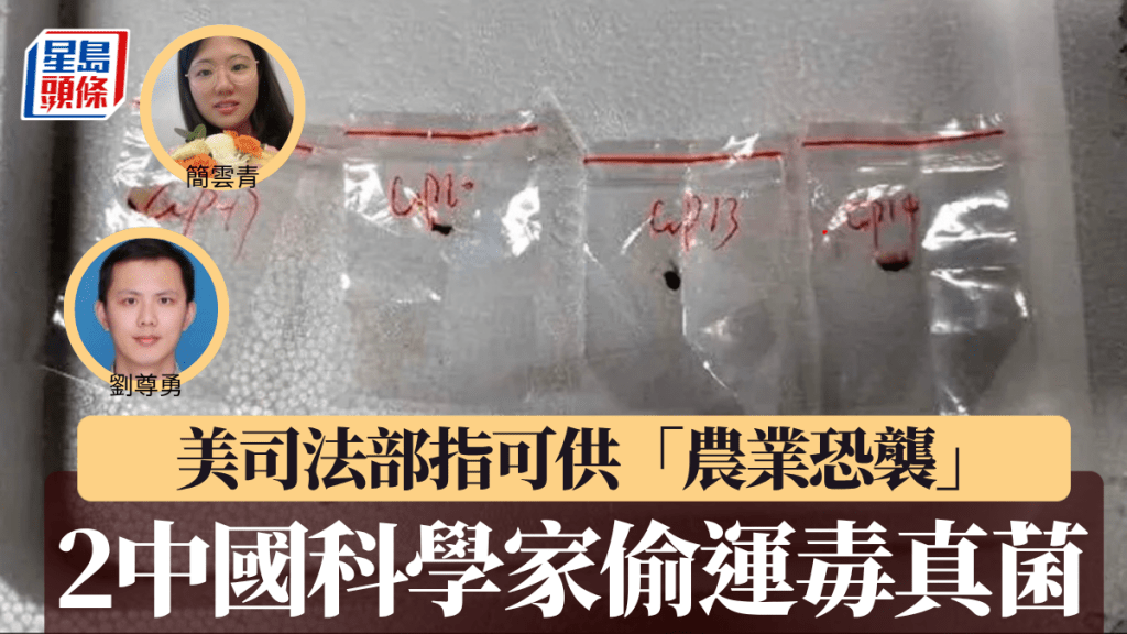 美國司法部檢控中國情侶檔科學家，涉嫌偷運有毒真菌入境。美國司法部