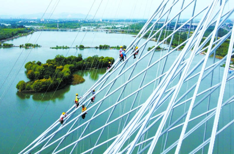 滹沱河大桥主塔高146.5米，大桥由62根斜拉索组成。网络图片