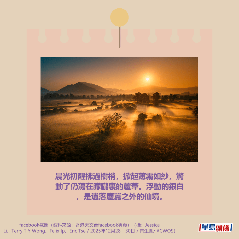 （摄：Jessica Li / 2025年12月29日 / 南生围 / #CWOS）