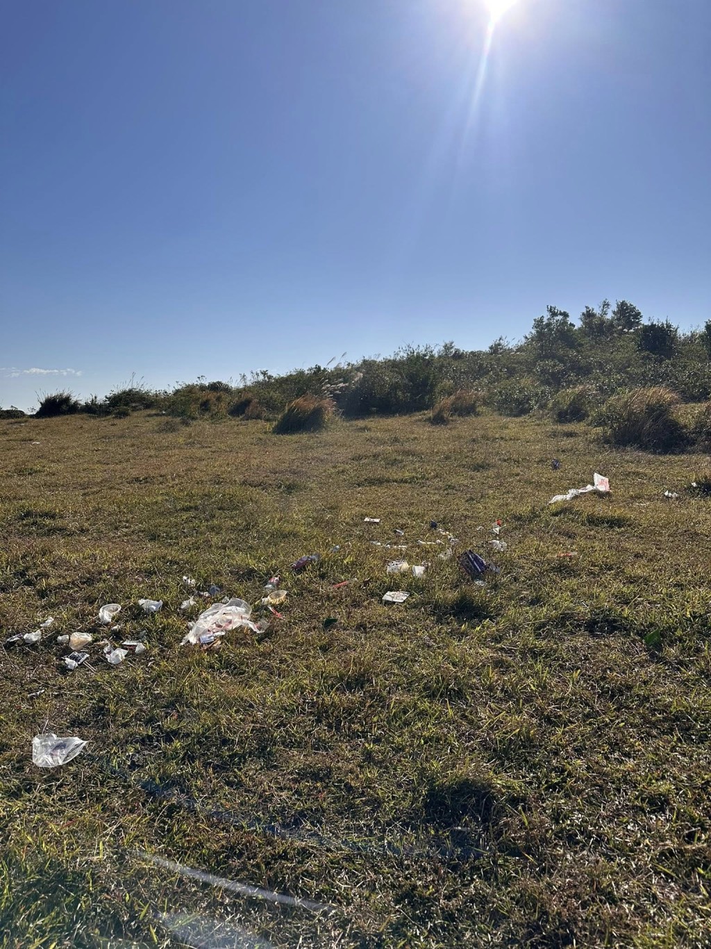 若無處理好、或將食物掛上樹,野豬便會試圖搶食物。Kei MK @FB香港人露營分享谷 若無處理好、或將食物掛上樹,野豬便會試圖搶食物。Kei MK @FB香港人露營分享谷