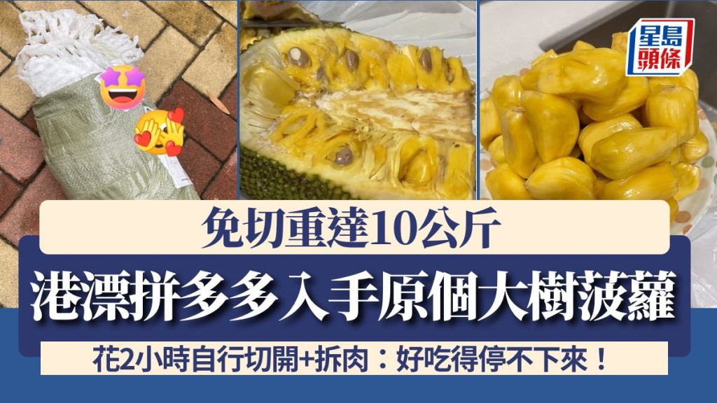 港漂拼多多入手原個大樹菠蘿！免切重達10公斤 花2小時自行切開+拆肉：好吃得停不下來！