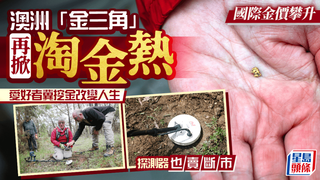全球淘金客涌入澳洲「金三角」寻梦  逾$1.5万探测器卖断市