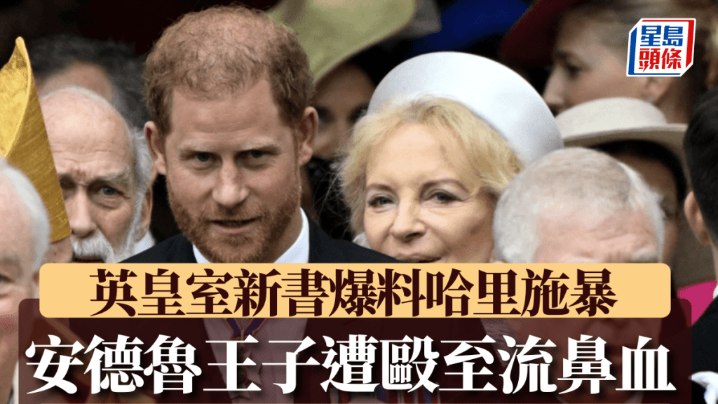 英皇室新書爆料,哈里曾毆打安德魯王子至鼻流血。路透社資料圖
