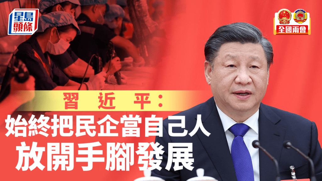 國家主席習近平今天(6日)下午看望了參加全國政協十四屆一次會議的民建、工商聯界委員,並參加聯組會。