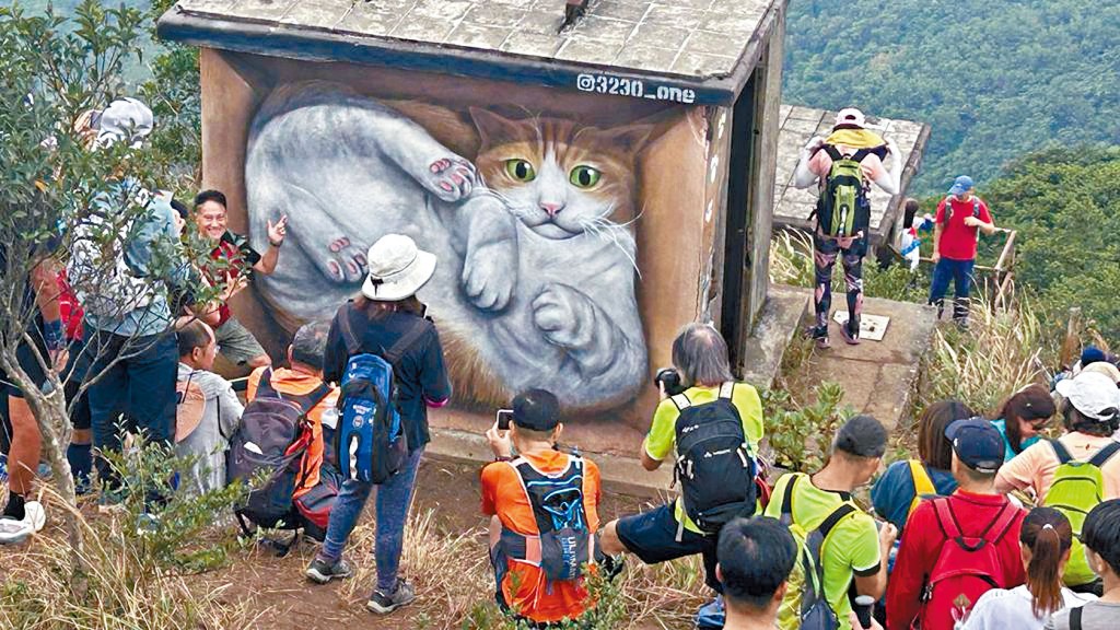 大帽山「貓屋」成為打卡熱點,連日來大批市民專程到訪拍照。