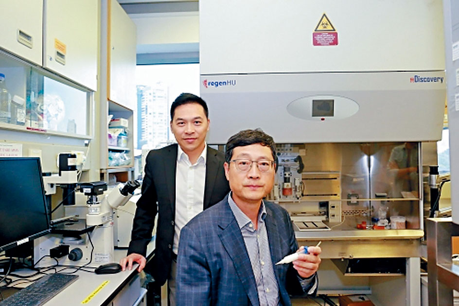楊偉國（左）與呂維加領導的3D空間打印人體組織與器官研究，成為首個獲國家級「過河」資助的本港科研項目。