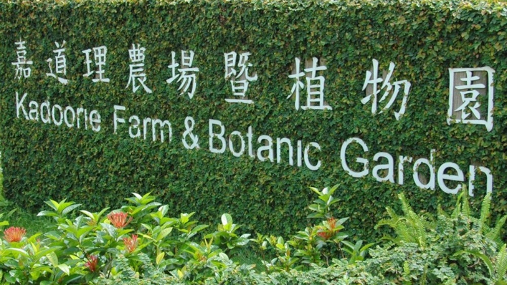 嘉道理農場。