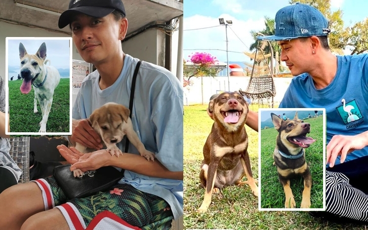 黃宗澤風騷晒新寵行山相，呢兩隻可愛狗女都係喺慈善動物團體中領養回來的。
