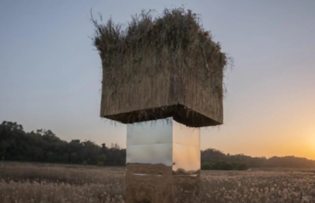 岳阳洞庭湖矗立逾10米镜柱,被质疑成为候鸟死亡陷阱。小红书 岳阳洞庭湖矗立逾10米镜柱,被质疑成为候鸟死亡陷阱。小红书