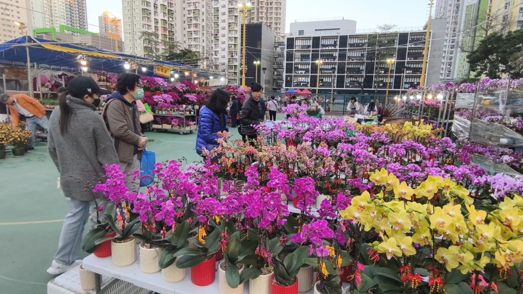 農曆新年｜花農指年宵市場銷情佳 生意額較去年多一成