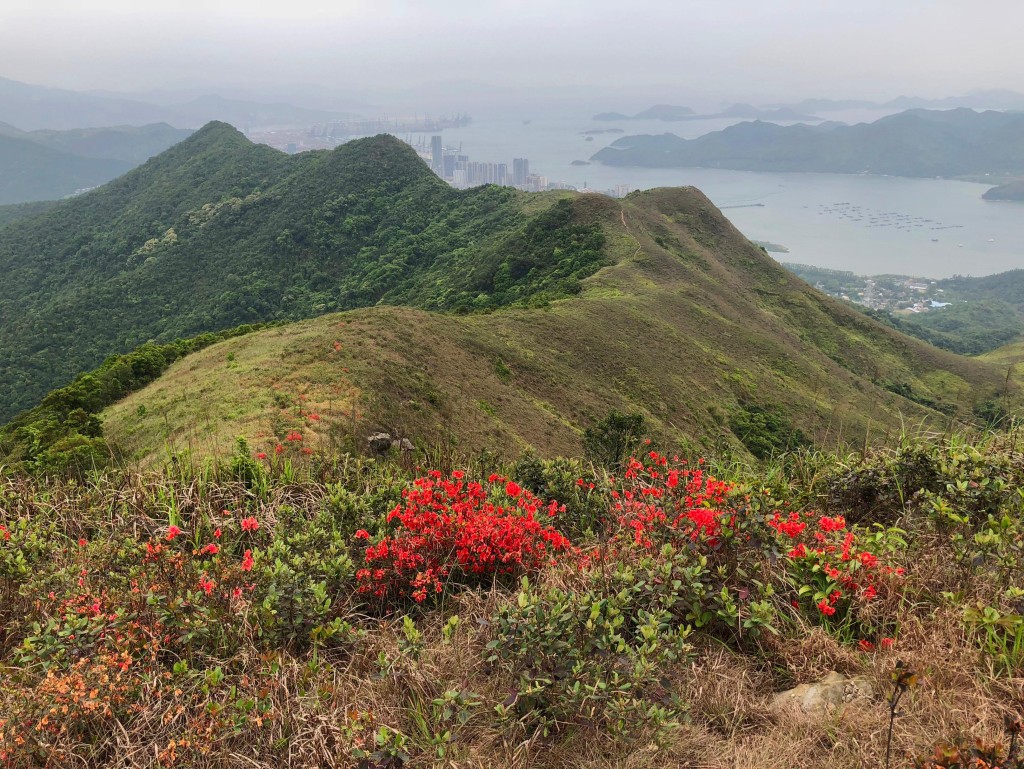 政府今日（24日）起開放沙頭角蓮麻坑村附近的指明邊境禁區路段。圖為紅花嶺郊野公園。政府新聞處圖片