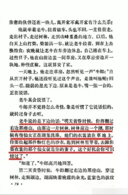 网图