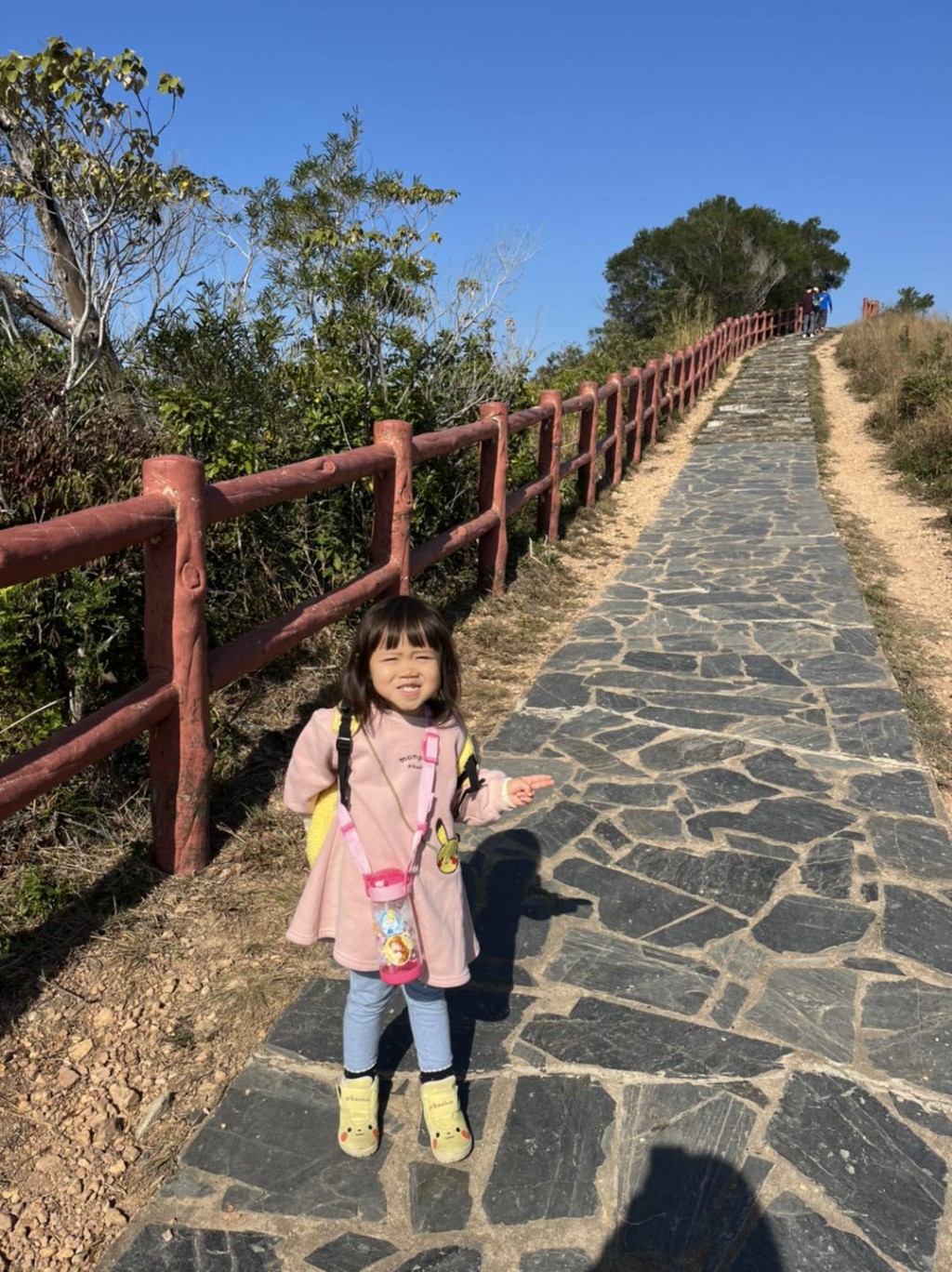 (圖片授權:FB@寶妮豬的成長日誌) (圖片授權:FB@寶妮豬的成長日誌)