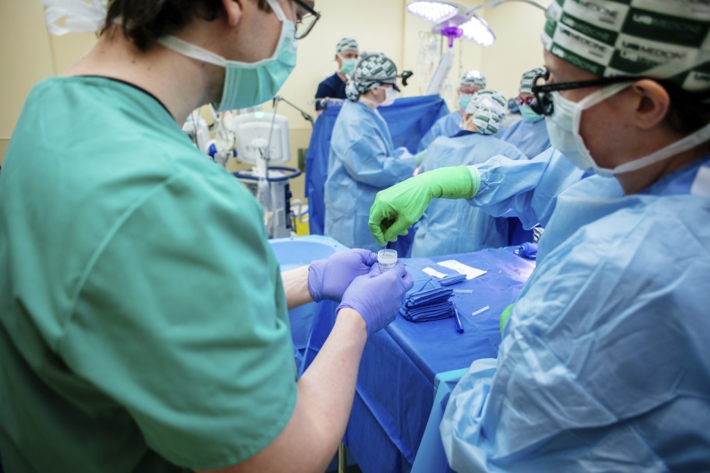 伯明罕阿拉巴马大学医学研究人员在2023 年2 月15 日将猪肾移植到捐赠的身体中时收集了肾活检。AP