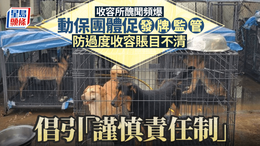 每日雜誌｜收容所醜聞頻爆  動保團體促發牌監管  防過度收容賬目不清  倡引「謹慎責任制」