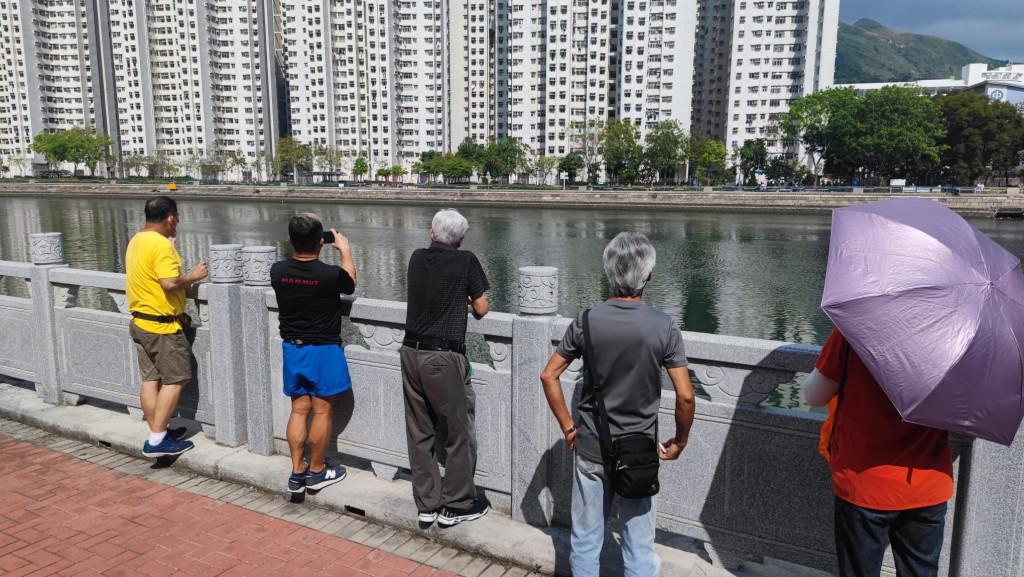 有市民在岸邊觀看。