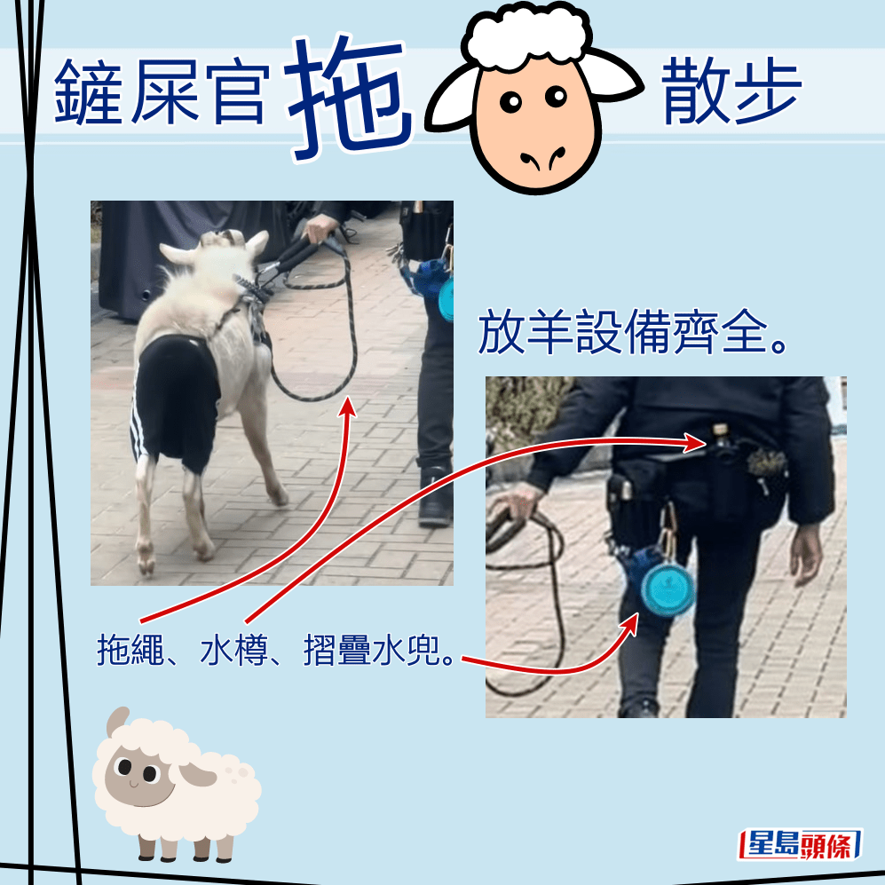 放羊设备齐全。水樽、摺叠水兜、拖绳。fb「洪水桥街坊」截图