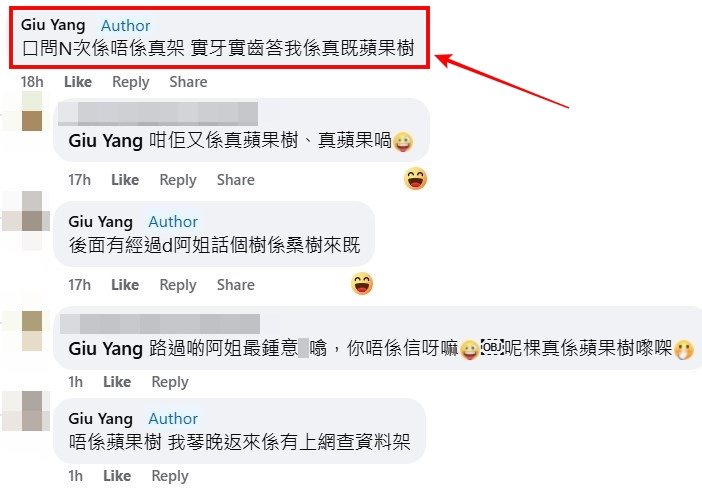 facebook截图（资料来源：Giu Yang＠facebook“元朗、天水围、屯门友”）