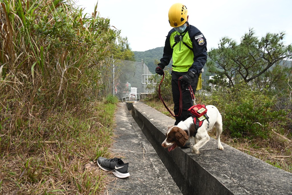 消防处自家训练搜救犬追踪功能，能追踪失踪人士的气味，大大加强山野搜救能力。梁文辉摄