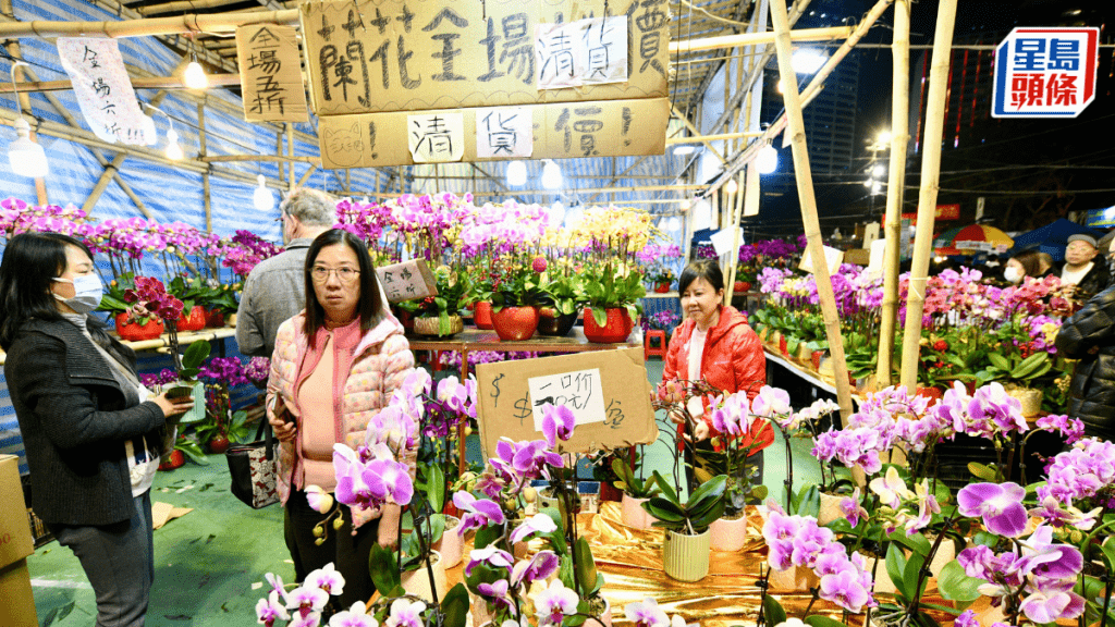 年廿九除夕︱維園花市入夜後大減價 市民搶購心頭好:$200大蘭花抵到爛