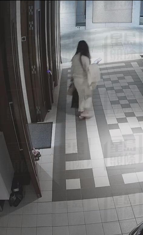 蔡天凤位于何文田加多利山寓所的闭路电视，摄得其后身影。(CCTV截图)