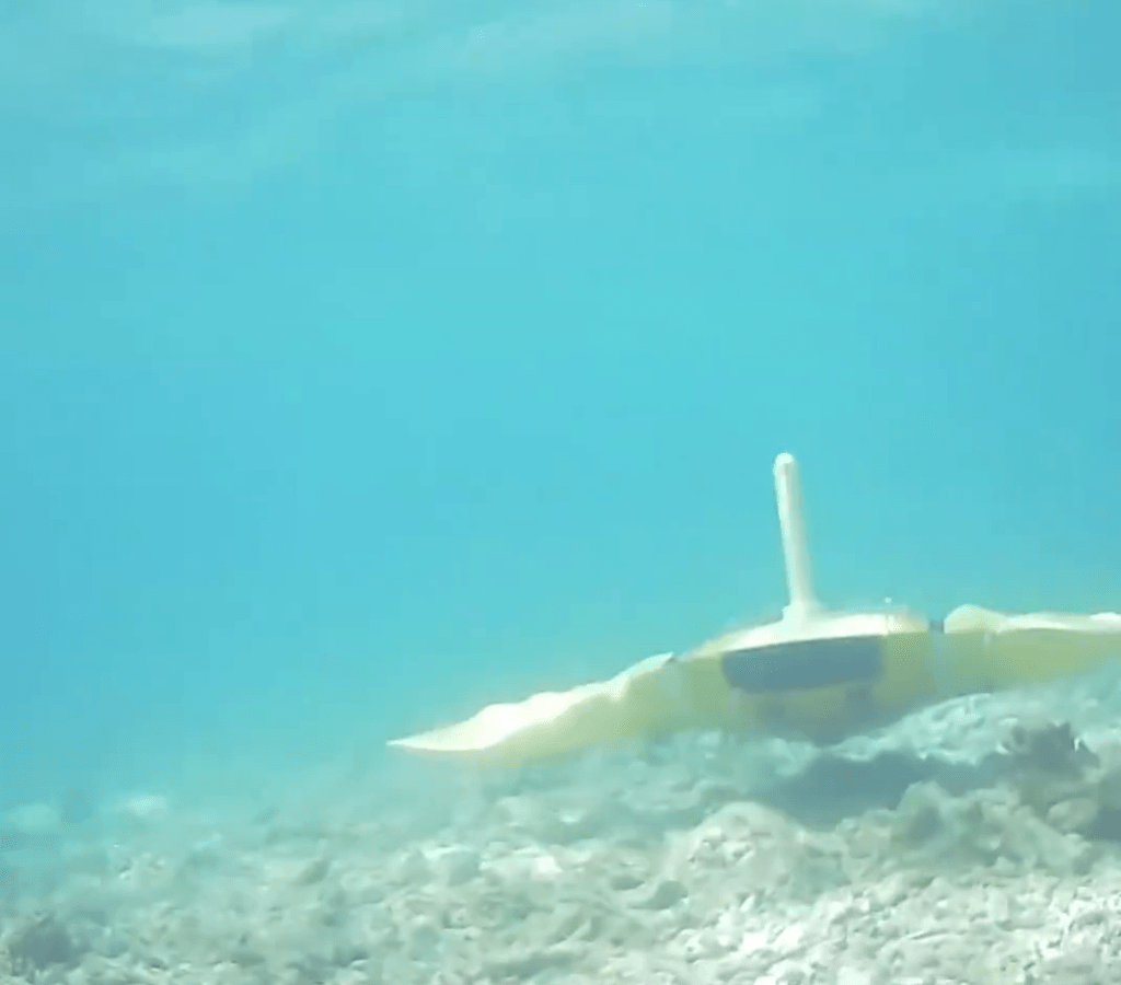 「魔鬼魚」適用於高精度水下探測與排爆任務。 「魔鬼魚」適用於高精度水下探測與排爆任務。