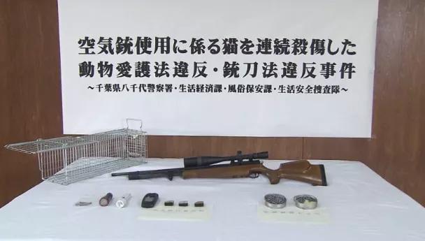 平田雄一表示，除了用氣槍射擊，他還會對小貓澆熱水。網上圖片