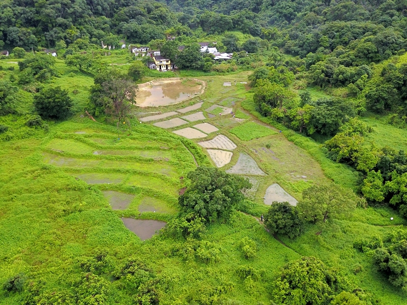 修復後的沙螺洞濕地。綠色力量圖片