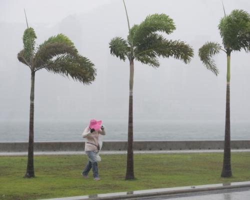 一連9日有雨。資料圖片