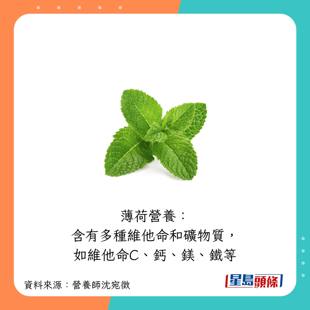 薄荷含有多種維他命和礦物質,如維他命C、鈣、鎂、鐵等