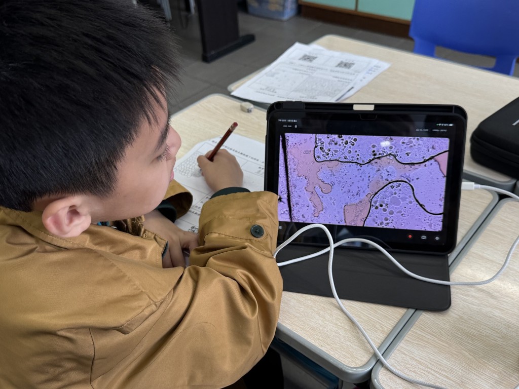 比較辣條與各種新鮮食物,才知道前者的邪惡真面目。(圖片來源:受訪學校提供) 比較辣條與各種新鮮食物,才知道前者的邪惡真面目。(圖片來源:受訪學校提供)