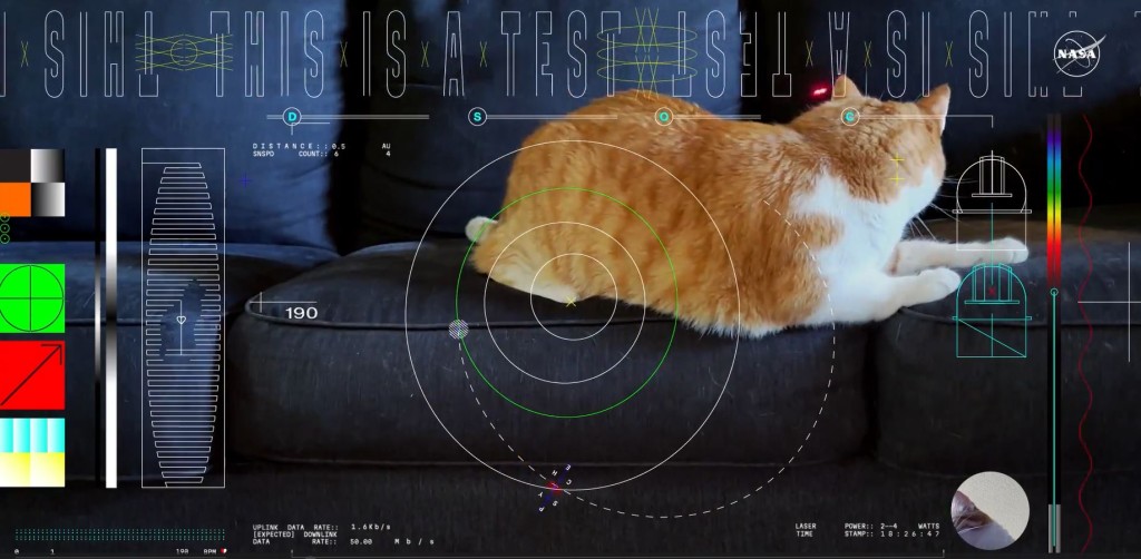 Taters在沙發追逐激光光點的影片，極速在網絡廣傳，讓牠成為「網紅貓」。NASA