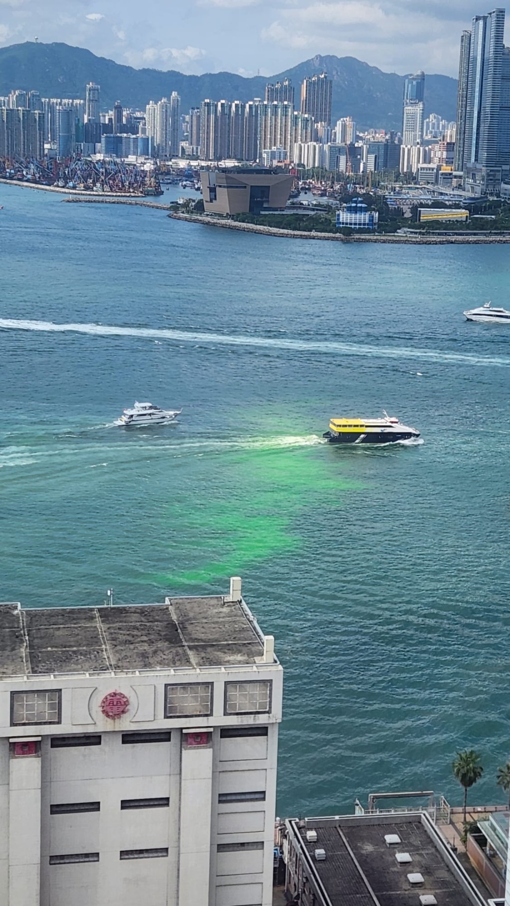 上周五有一片萤光绿水在上环对开的维港漂浮。