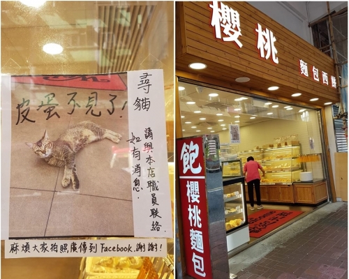 麵包店為失貓張貼啓事。天下貓貓一樣貓群組Ling Ling Lam 圖片
