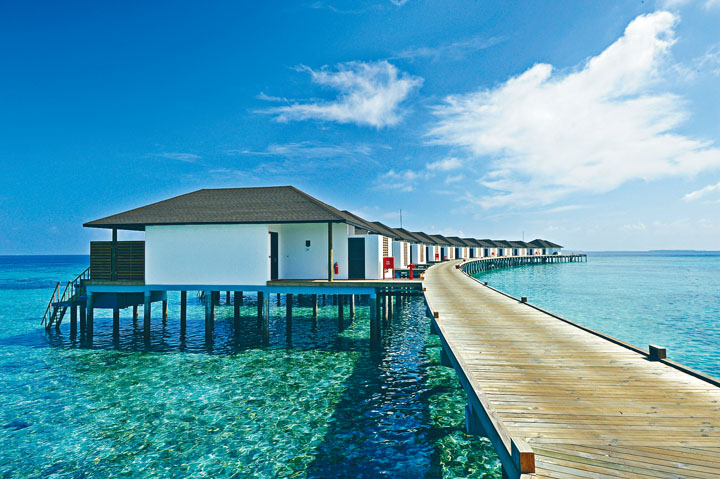 ●這一帶海面的珊瑚保持完好，從水中屋下水較為輕鬆方便。