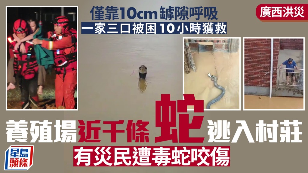 广西洪灾，有一家三口靠10cm空隙呼吸被困10小时获救，养蛇场近千蛇出逃伤人。