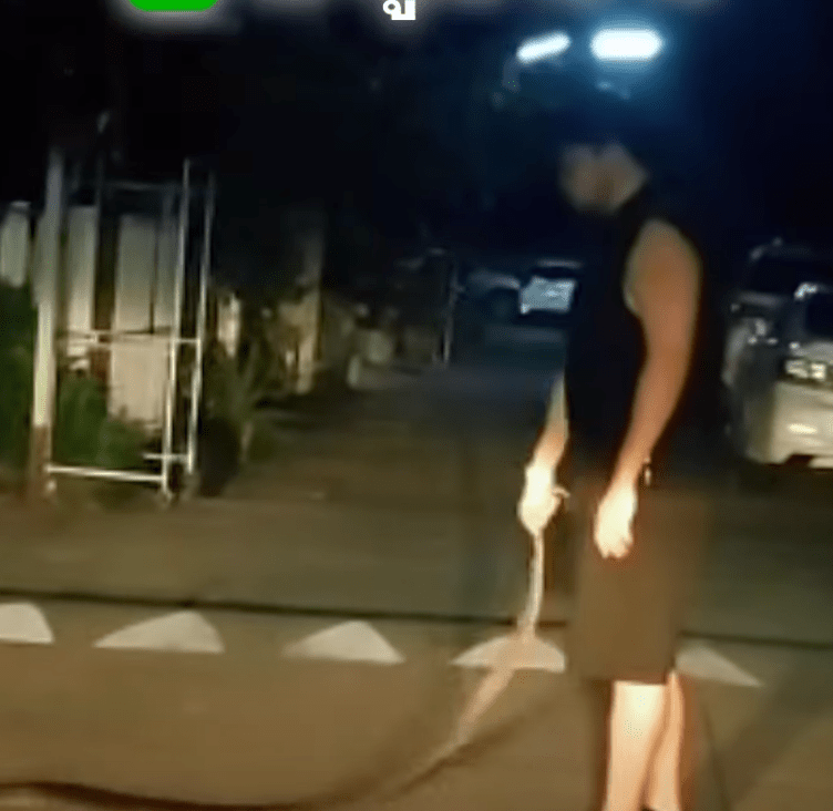 拉查塔当时明显带有醉意，先拉着蟒蛇尾部，其后一边大笑。