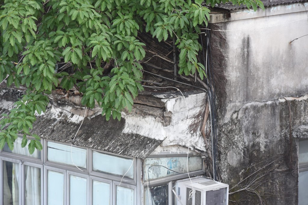 深水埗基隆街昨日发生石屎剥落意外，记者发现上址有一棵树依附在外墙。