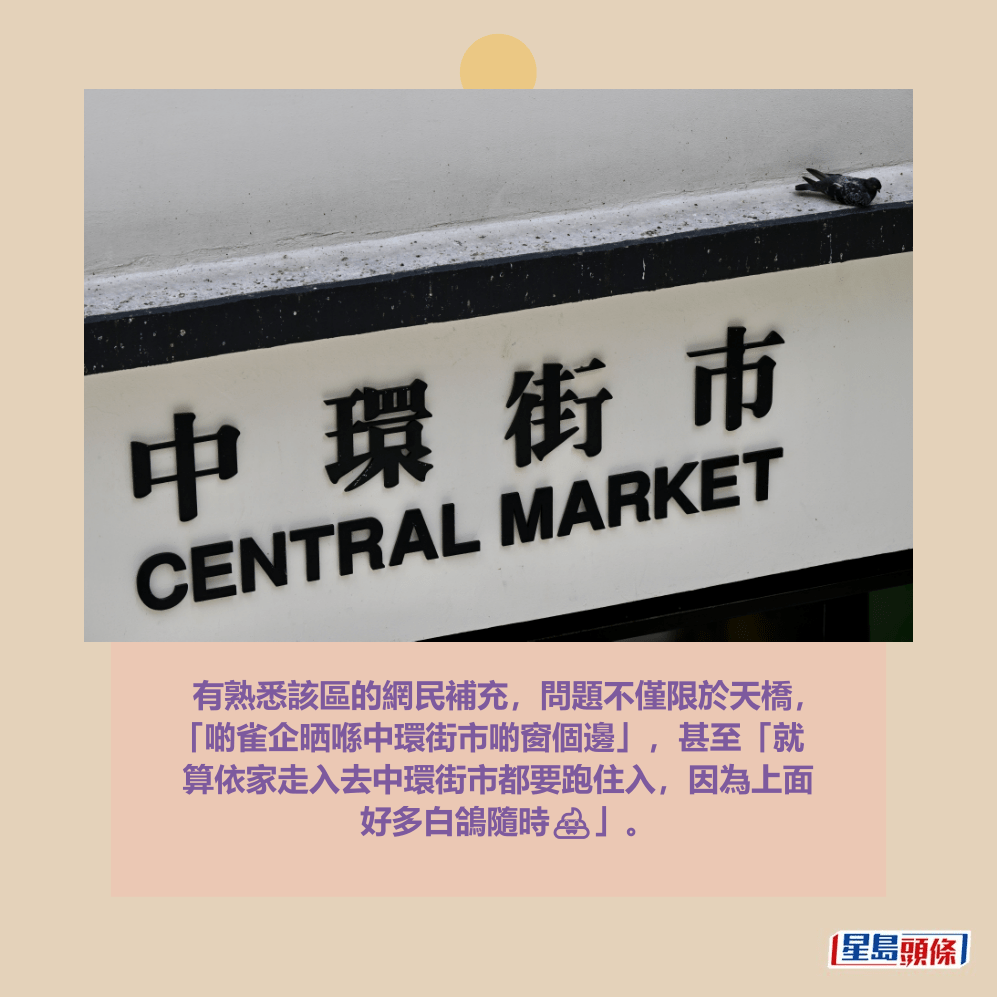 。資料圖片