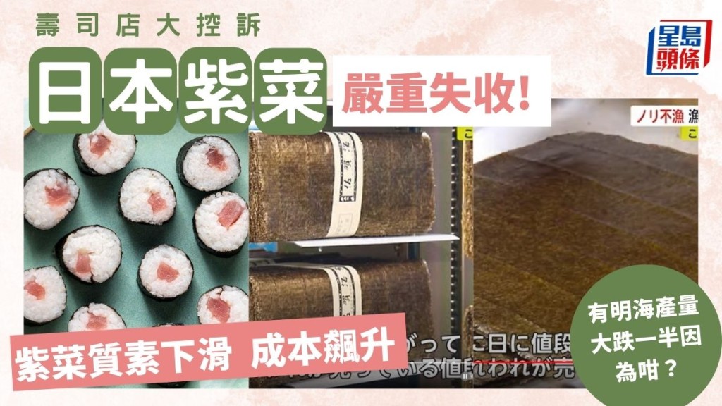 壽司店大控訴 日本紫菜嚴重失收 紫菜質素下滑成本飆升 